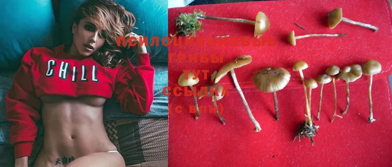 Галлюциногенные грибы Magic Shrooms  ОМГ ОМГ как зайти  Касимов  купить  